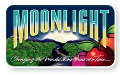 Moonlight Companies